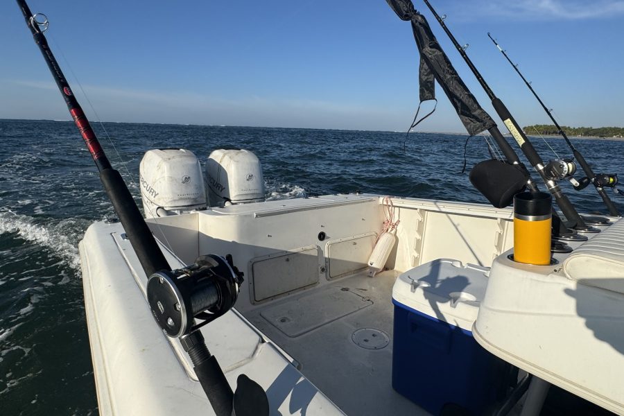 Inshore tour – Center Console 26FT Proline